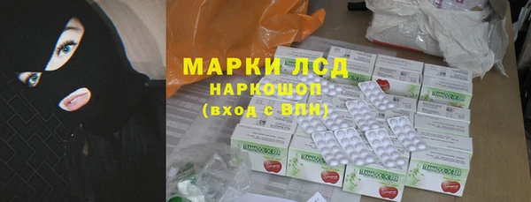 спайс Богданович