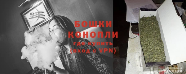 стаф Богородицк