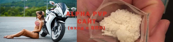 стаф Богородицк