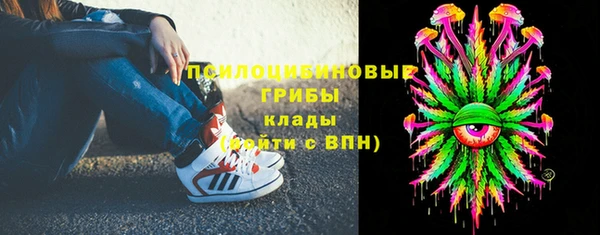 спайс Богданович