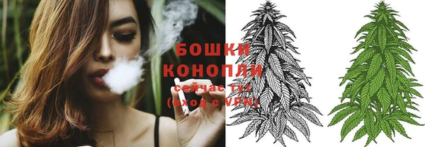 спайс Богданович