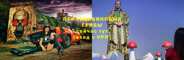стаф Богородицк