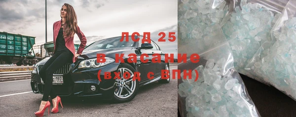 спайс Богданович